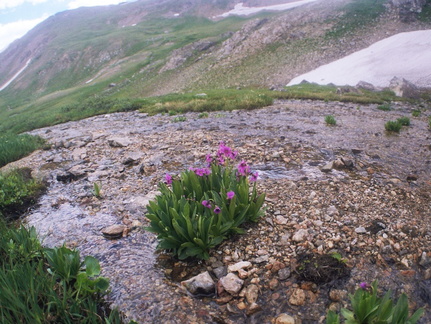 Continental Divide, Parika Lake